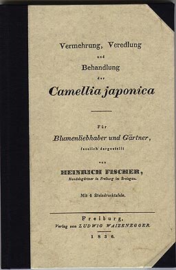 Vol 2