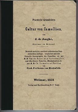 Vol 5