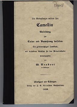 Vol 6